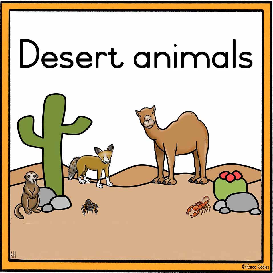 Desert Animals Flash cards (animal and name on A4 size) – Karoo Kiddies