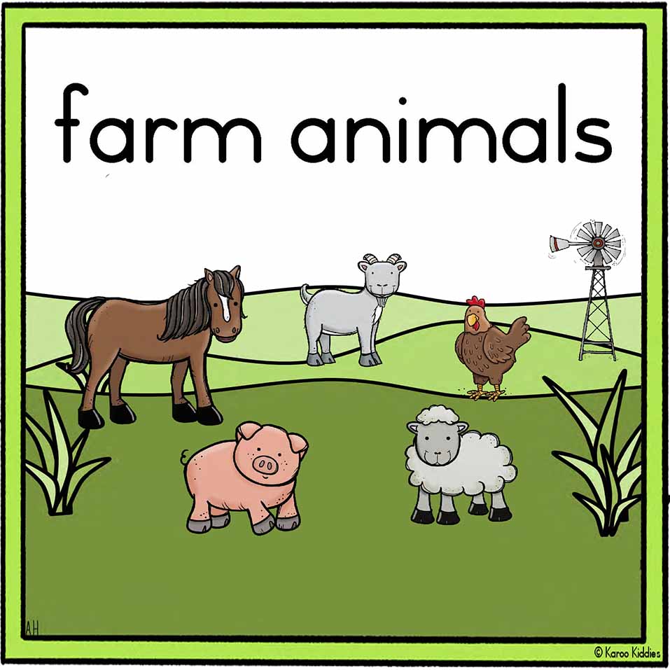Farm Animals Flash cards (animal and name on A4 size) – Karoo Kiddies