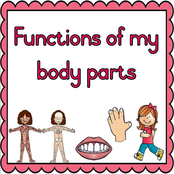 Functions Of My Body Parts Karoo Kiddies