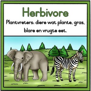 Herbivore, karnivore en omnivore